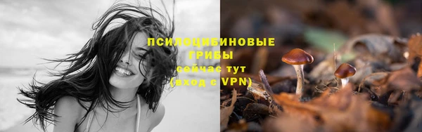 стафф Орск